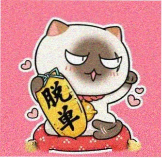 用户 后半段更好看 头像